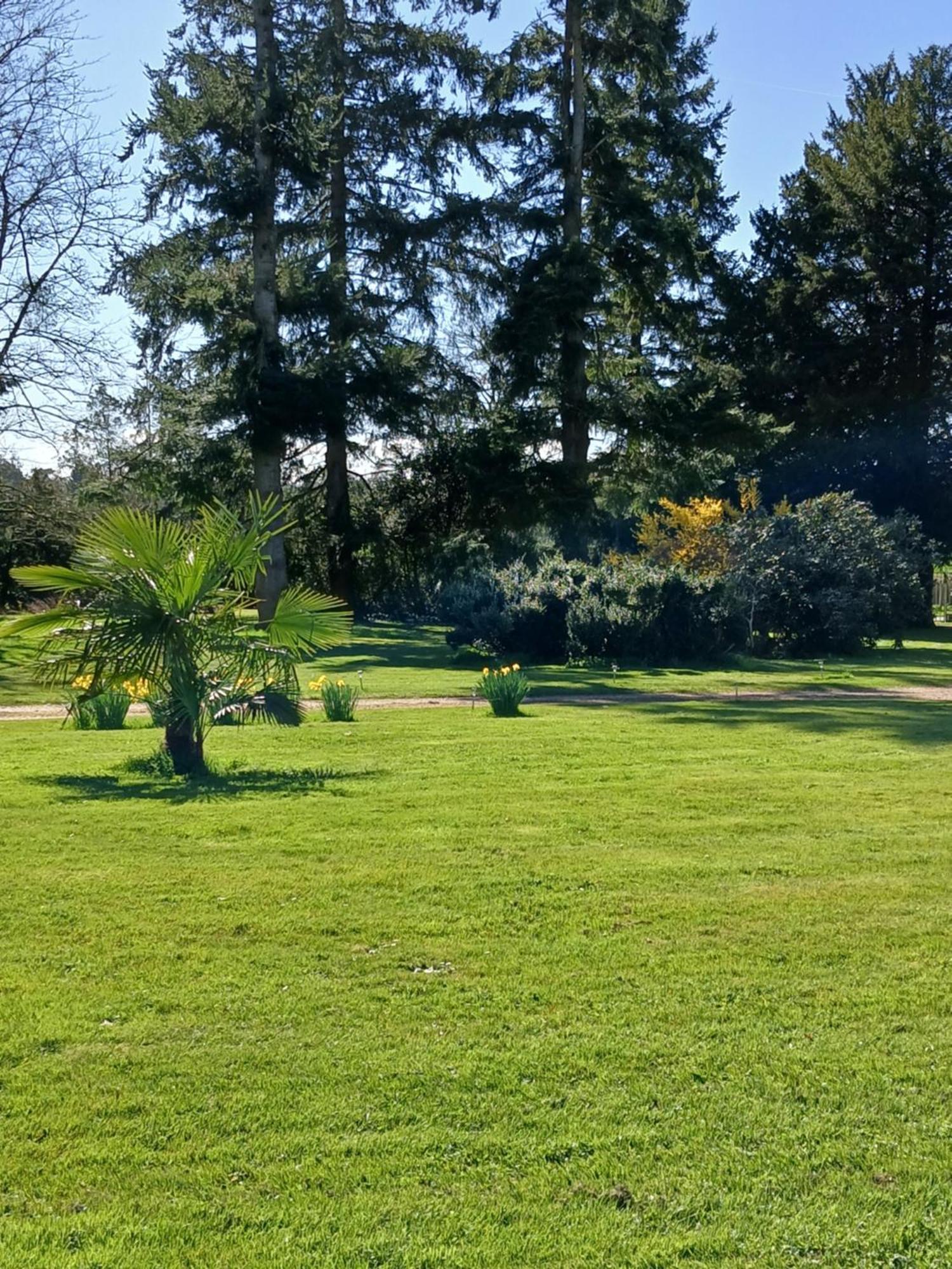 Domaine Des Ifs Bed and Breakfast Le Pin  Εξωτερικό φωτογραφία
