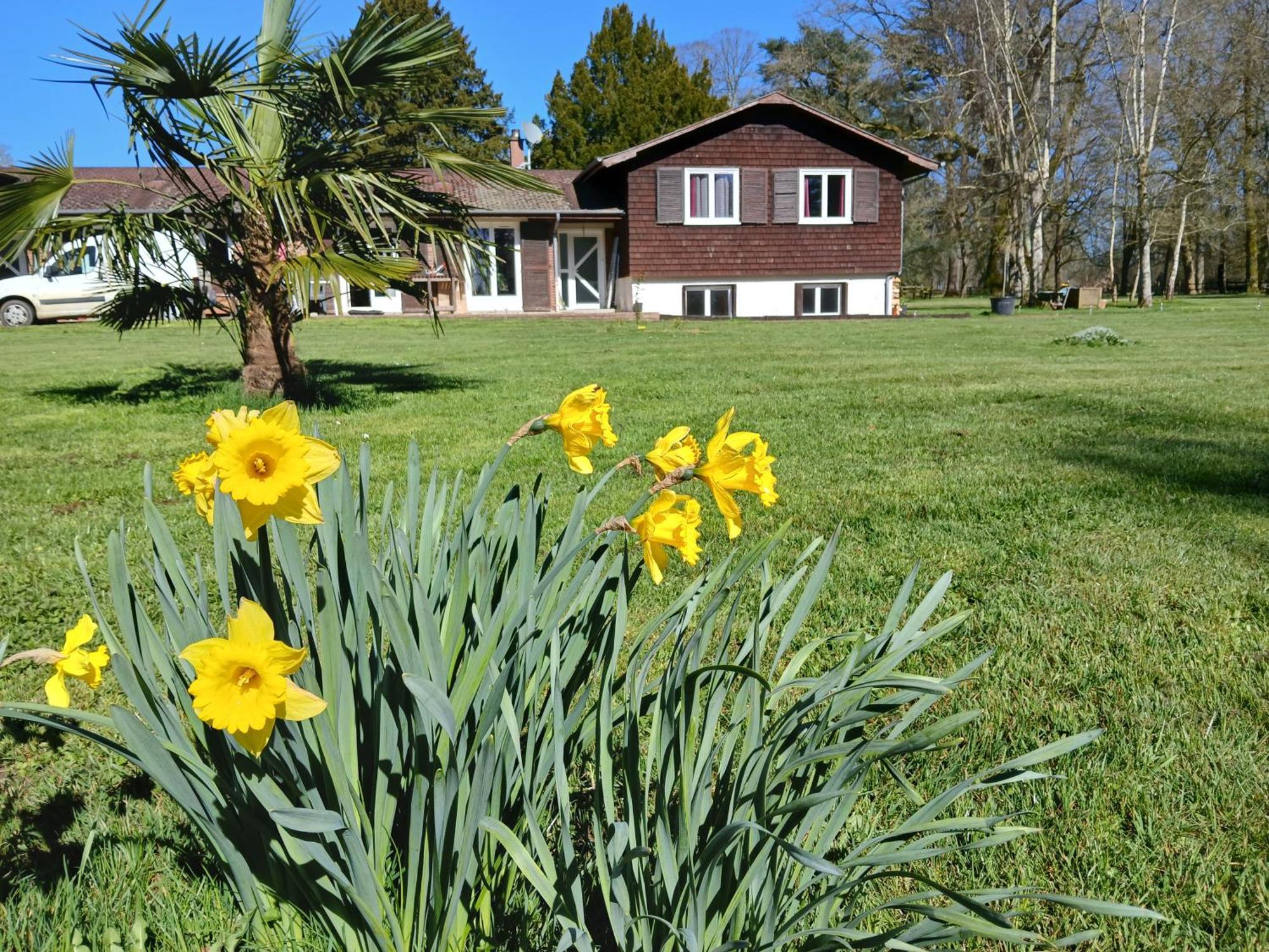 Domaine Des Ifs Bed and Breakfast Le Pin  Εξωτερικό φωτογραφία