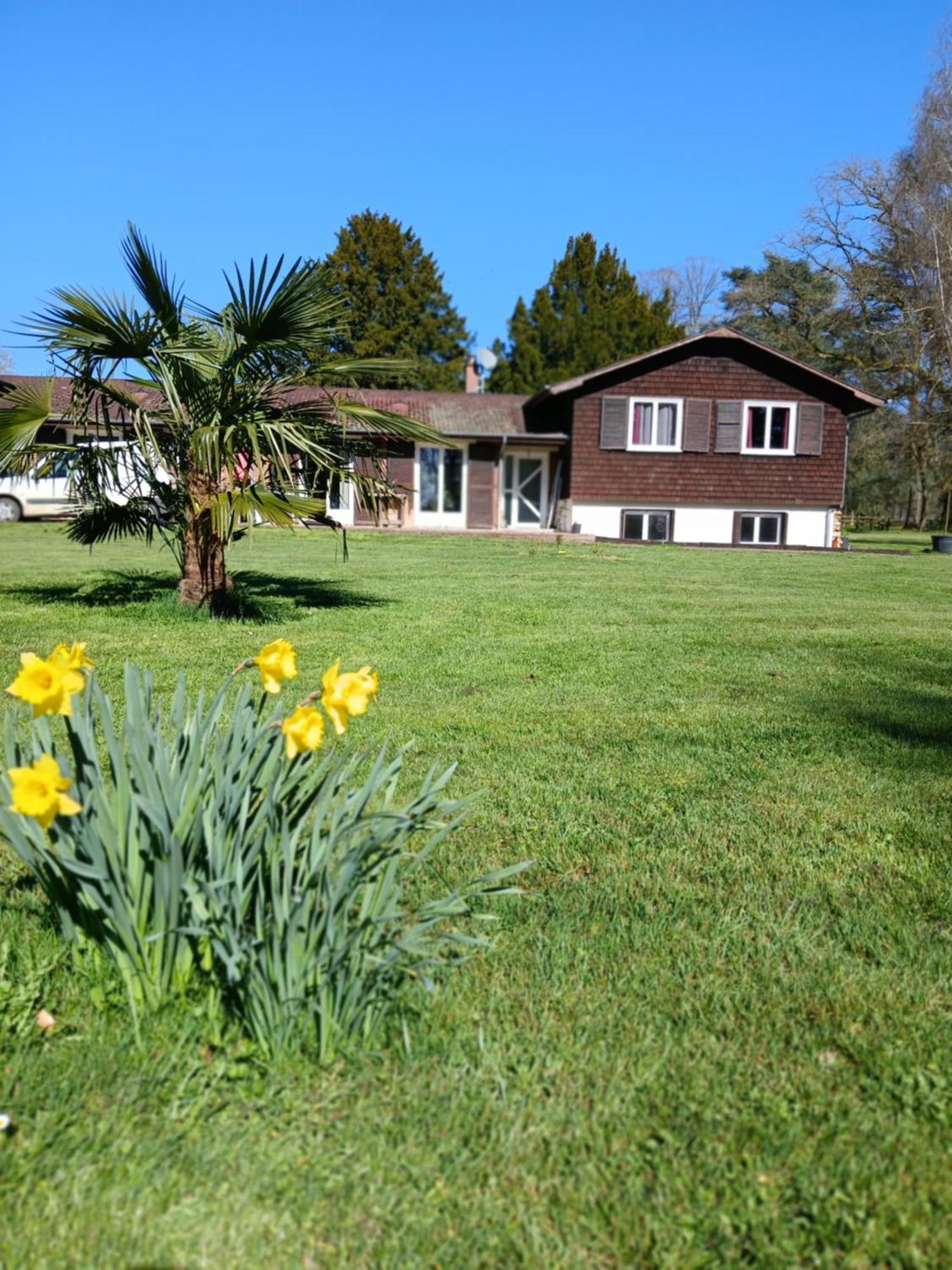 Domaine Des Ifs Bed and Breakfast Le Pin  Εξωτερικό φωτογραφία