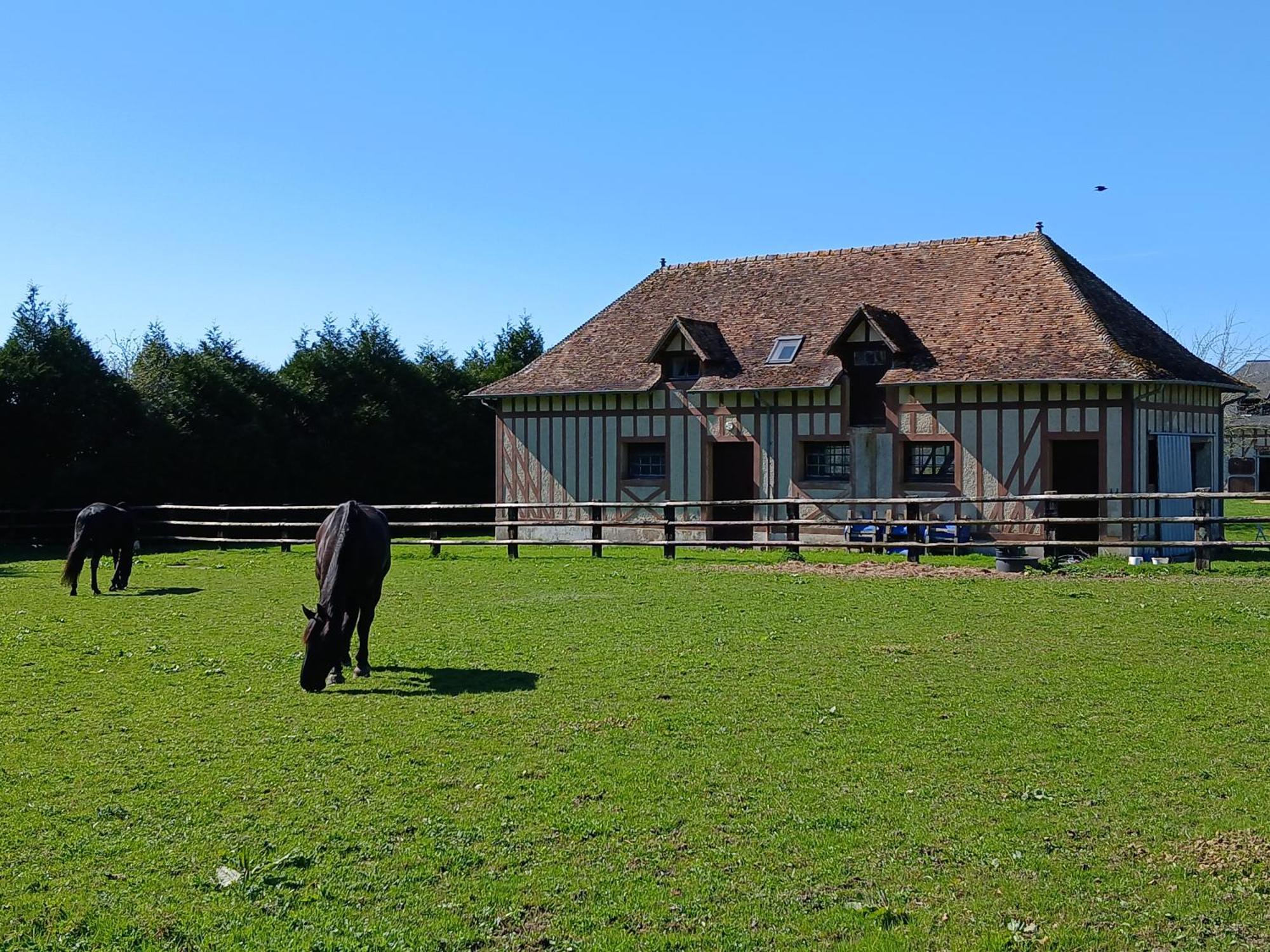 Domaine Des Ifs Bed and Breakfast Le Pin  Εξωτερικό φωτογραφία